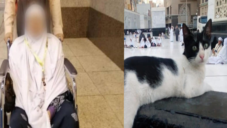 Berkat Menolong Seekor Kucing di Makkah, Terkejut Apa Yang Berlaku Kepada Jemaah Wanita Uzur Ini.